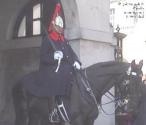 Household Cavalry, Horseguards Parade